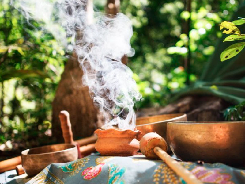Ayahuasca