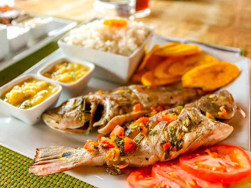 Gastronomía - Casa Kukama